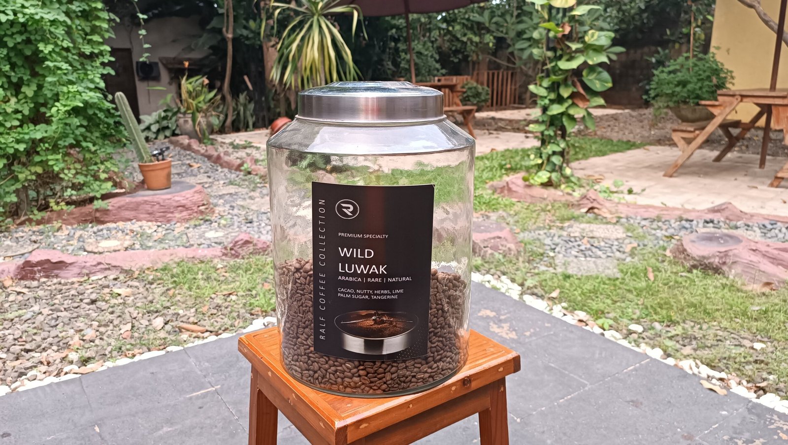 premium and rare coffee - wild luwak coffee