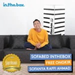 In-The-Box-Sofabed
