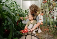 Studies Express the role of microbes that are useful to increase harvest